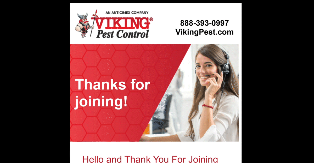 Viking Pest Control animated email design